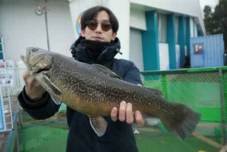 としまえんフィッシングエリア 釣果