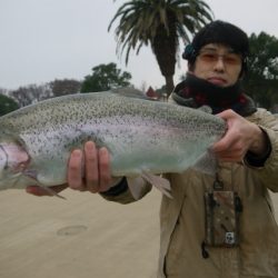 としまえんフィッシングエリア 釣果