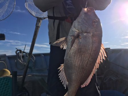 金栄丸 釣果