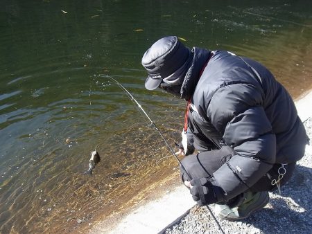 平谷湖フィッシングスポット 釣果