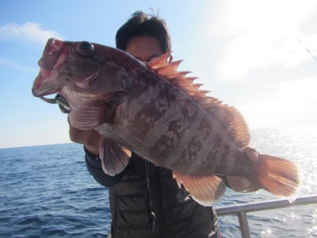 伸成丸 釣果