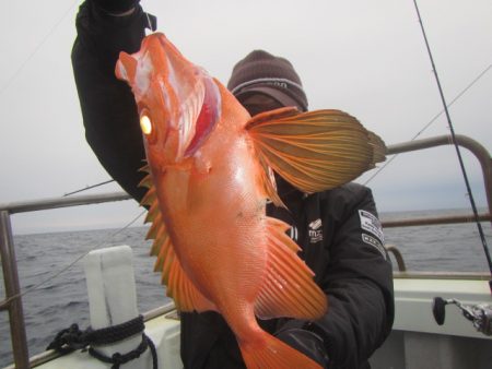 伸成丸 釣果