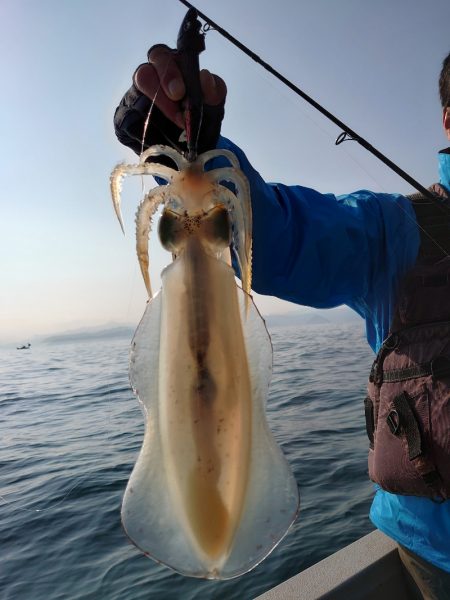 ブルースフィッシングサービス 釣果