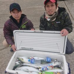 ありもと丸 釣果