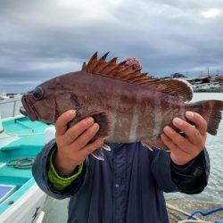 富士丸 釣果