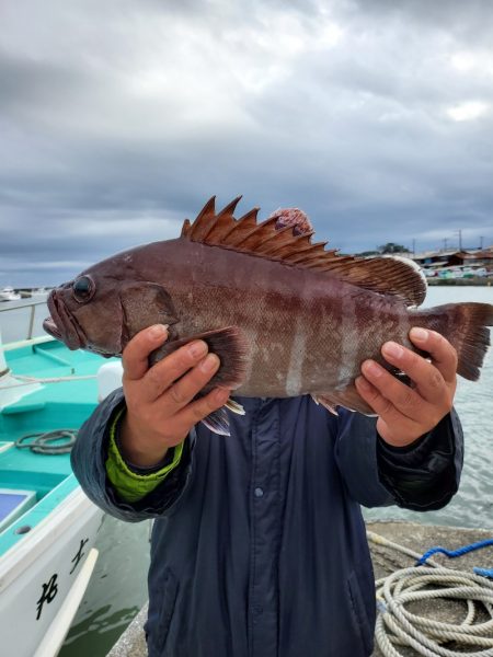 富士丸 釣果