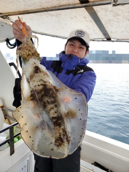 ソルトウォーターガイドフレンズ 釣果