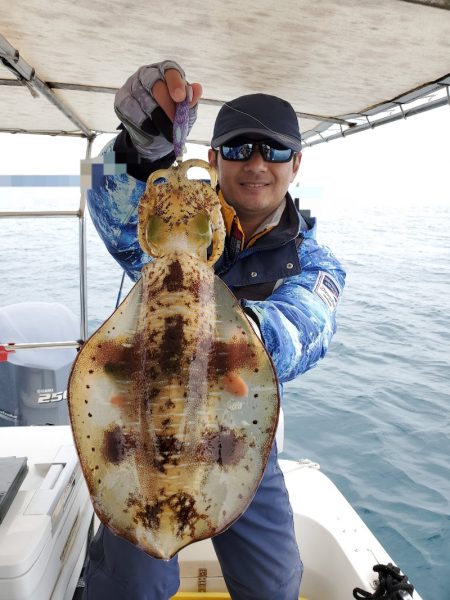 ソルトウォーターガイドフレンズ 釣果