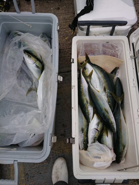 鷹王丸 釣果