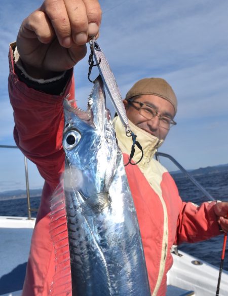 渡船屋たにぐち 釣果