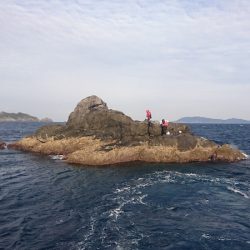 しば渡船 釣果