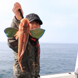 浜栄丸 釣果