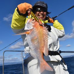 渡船屋たにぐち 釣果