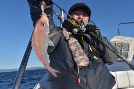 渡船屋たにぐち 釣果