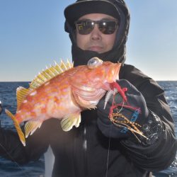 渡船屋たにぐち 釣果