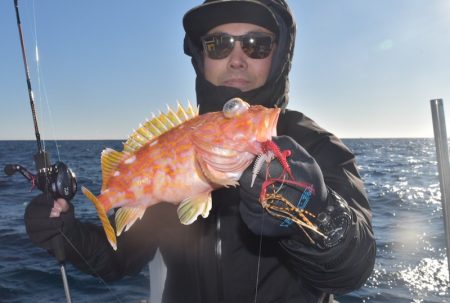 渡船屋たにぐち 釣果