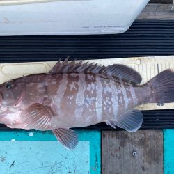 和栄丸 釣果