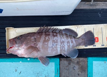 和栄丸 釣果