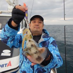 きずなまりん 釣果