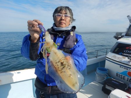 きずなまりん 釣果