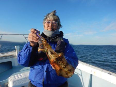 きずなまりん 釣果