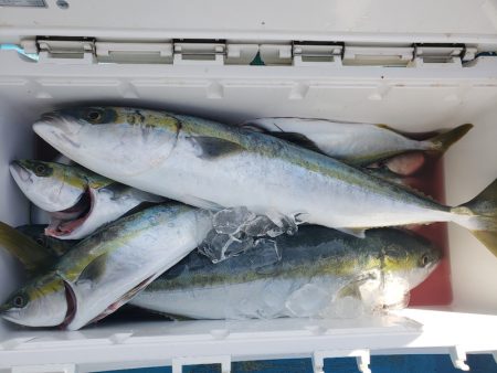 丸万釣船 釣果