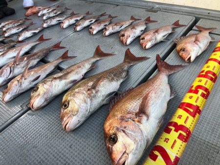 遊漁船高橋 釣果