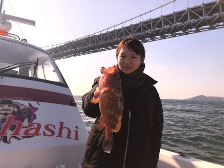 遊漁船高橋 釣果