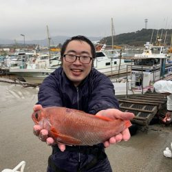 ぽん助丸 釣果