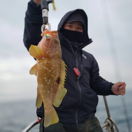 海季丸（みきまる） 釣果