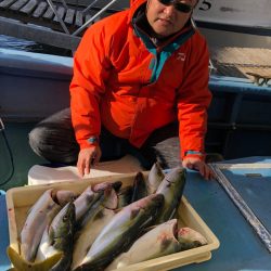 ヤザワ渡船 釣果