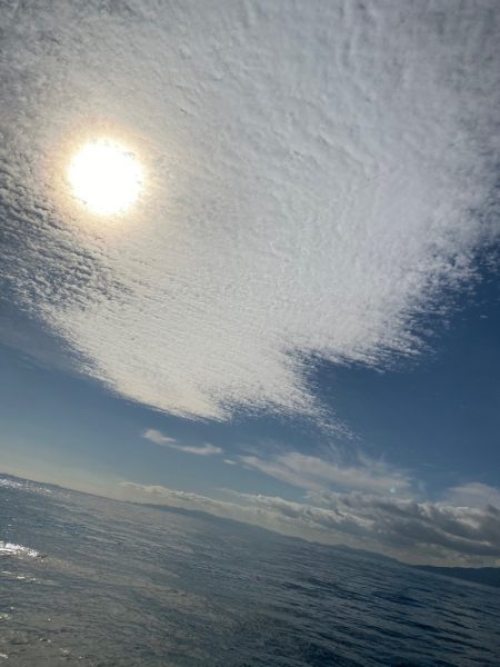 釣人家 釣果