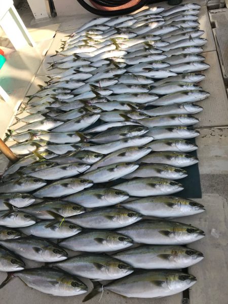 大雄丸 釣果