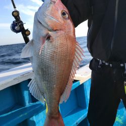 太平丸 釣果