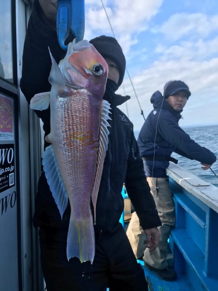 太平丸 釣果