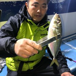 ヤザワ渡船 釣果