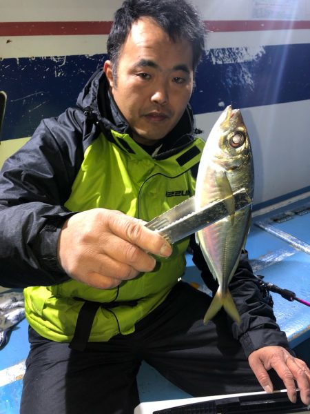 ヤザワ渡船 釣果