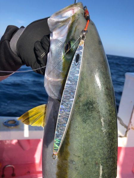 山正丸 釣果