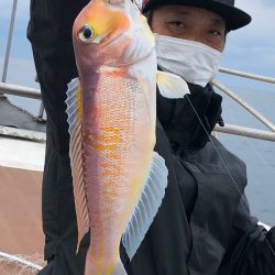 あみや渡船 JIGBOY 釣果