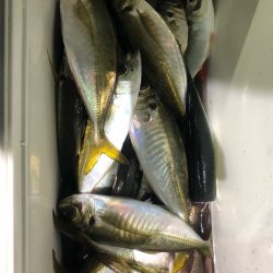 ヤザワ渡船 釣果