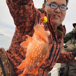 あみや渡船 JIGBOY 釣果