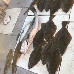 遊漁船メテオ 釣果