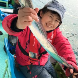 ヤザワ渡船 釣果