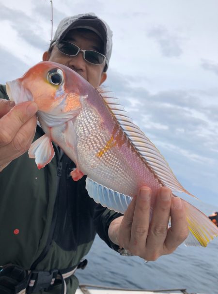 あみや渡船 JIGBOY 釣果