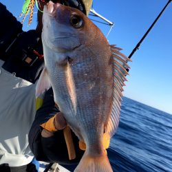 渡船屋たにぐち 釣果