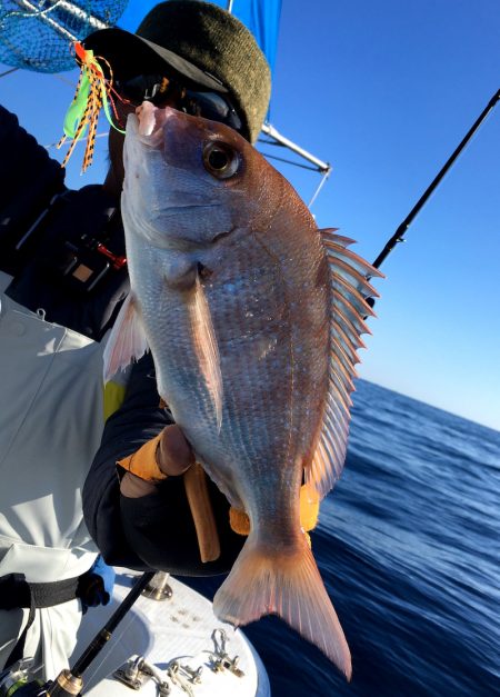 渡船屋たにぐち 釣果