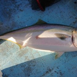 幸栄丸 釣果