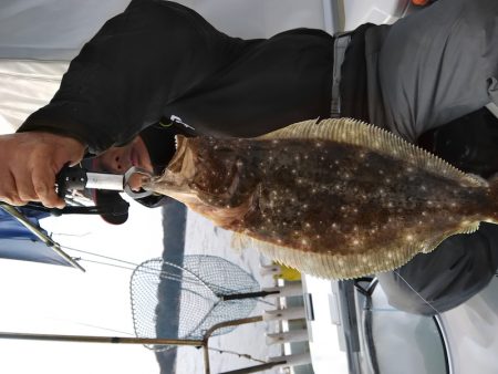 フィッシングガイド りょう 釣果