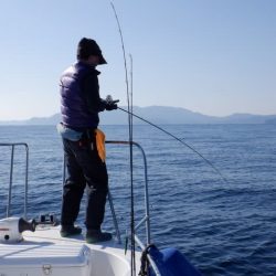 開進丸 釣果