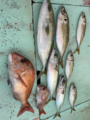 釣り納め